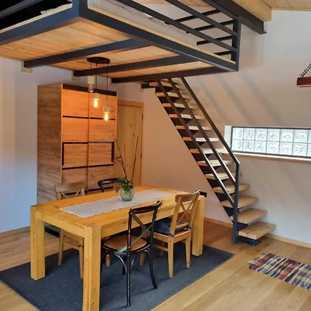 U Kolodzieja Apartment