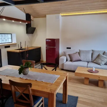 U Kolodzieja Apartment *