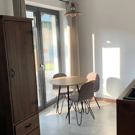 U Kolodzieja Apartment
